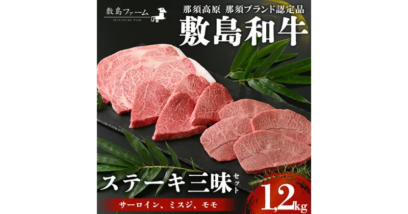 【ふるさと納税】那須高原 敷島和牛 ステーキ三昧セット 計1.2kg 国産 黒毛和牛 和牛 牛肉 お肉 肉 ステーキ サーロインステーキ ギフト お祝い 冷凍 栃木県 那須町《敷島ファーム》〔P-169〕※着日指定不可※離島への配送不可