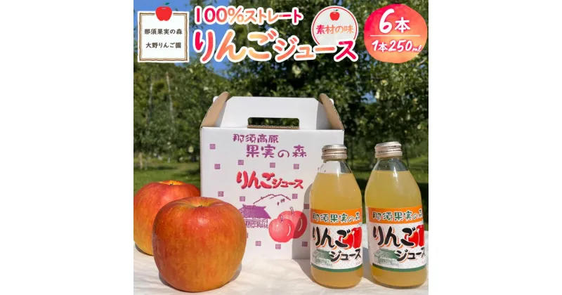 【ふるさと納税】那須果実の森りんごジュース250ml×6本〔P-229〕｜リンゴジュース 林檎ジュース 100％ 果物 フルーツ