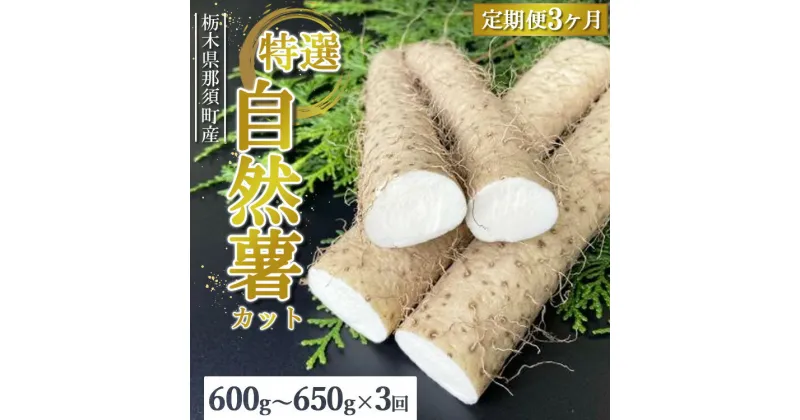 【ふるさと納税】【定期便3ヵ月】那須町産 自然薯（カット）600g～650g ｜とろろ 贈り物 お土産 グルメ 美味しい おいしい 食べ物 那須 栃木県 那須町〔P-213〕