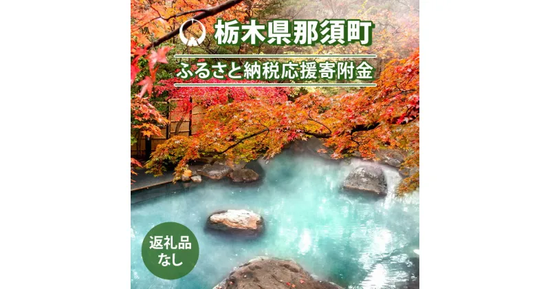 【ふるさと納税】【返礼品なし】栃木県那須町ふるさと応援寄附金 10,000円