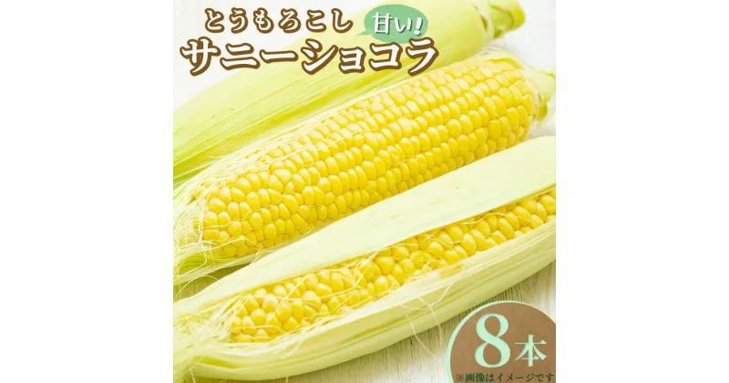 【ふるさと納税】【先行受付】とうもろこし サニーショコラ 8本〔B-101〕 ｜ トウモロコシ コーン 先行予約 数量 限定 生 甘い 野菜 やさい 那須 栃木県 那須町　※2025年8月上旬頃より順次発送予定