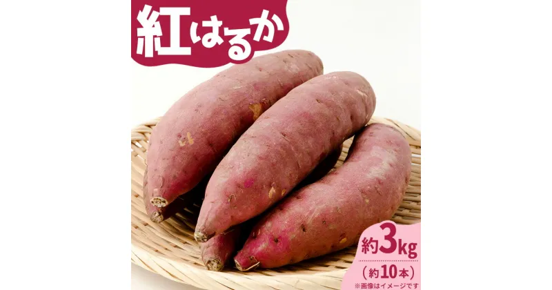 【ふるさと納税】【先行受付】紅はるか 約3kg（約10本）〔P-218〕 | さつまいも サツマイモ 芋 いも イモ おやつ デザート 秋 旬 国産 先行予約 数量 限定 那須 栃木県 那須町 ※2024年11月上旬頃より順次発送予定