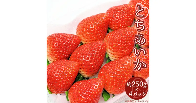 【ふるさと納税】【先行受付】とちあいか 約250g×4パック 計約1kg〔P-220〕 | いちご イチゴ 苺 フルーツ 果物 デザート ストロベリー 那須 栃木県 那須町 ※2025年1月中旬頃より順次発送予定