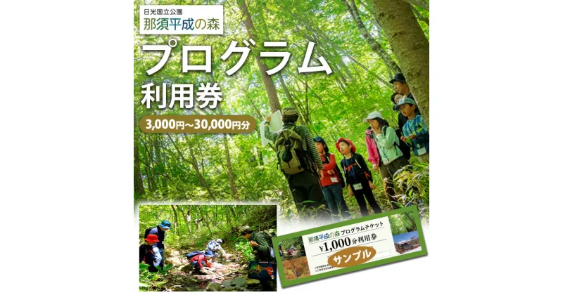 【ふるさと納税】【選べる枚数】那須平成の森 プログラム利用券 3,000円分～30,000円分 ｜ 体験 遊び チケット 自然 金券 国内 那須 栃木県 那須町