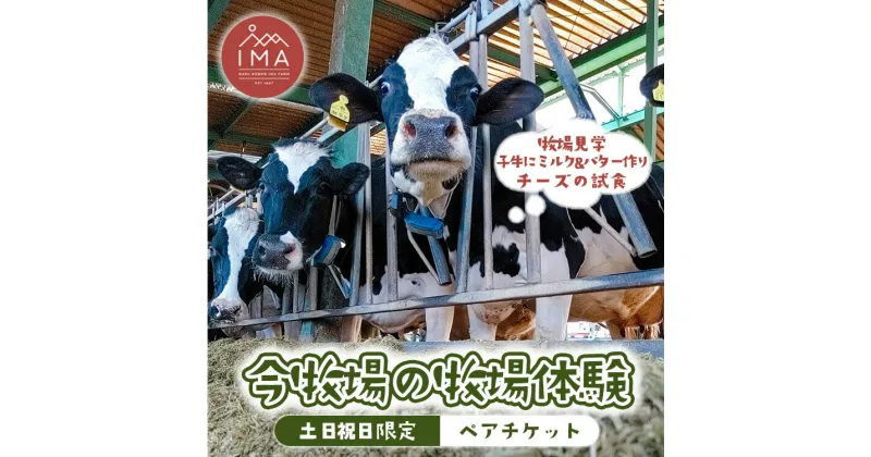 【ふるさと納税】【土日祝日限定】今牧場の牧場体験 ペアチケット ｜ 牧場 体験 バター作り 搾乳 体験型 見学 那須 栃木県 那須町〔P-266〕