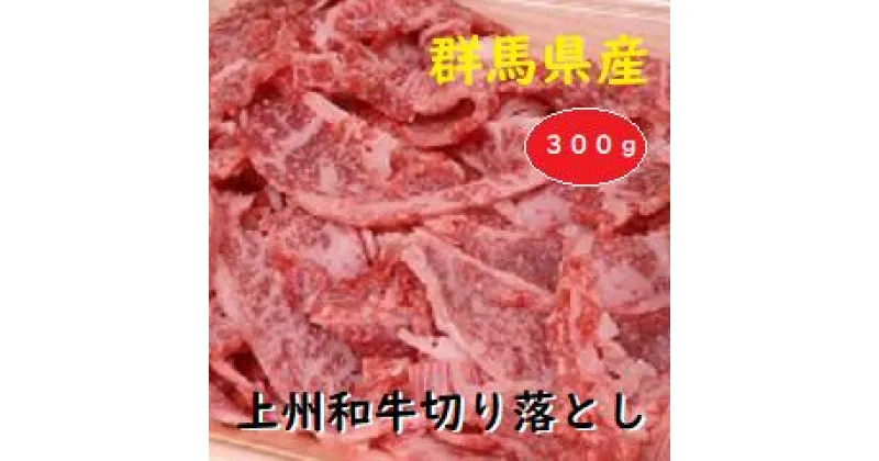 【ふるさと納税】A-31　群馬県産上州和牛切り落とし　300g