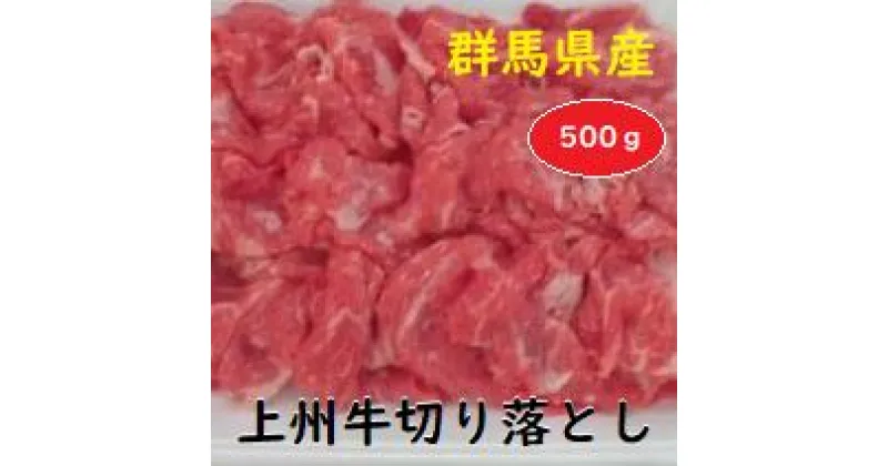 【ふるさと納税】A-32　群馬県産上州牛切り落とし 500g