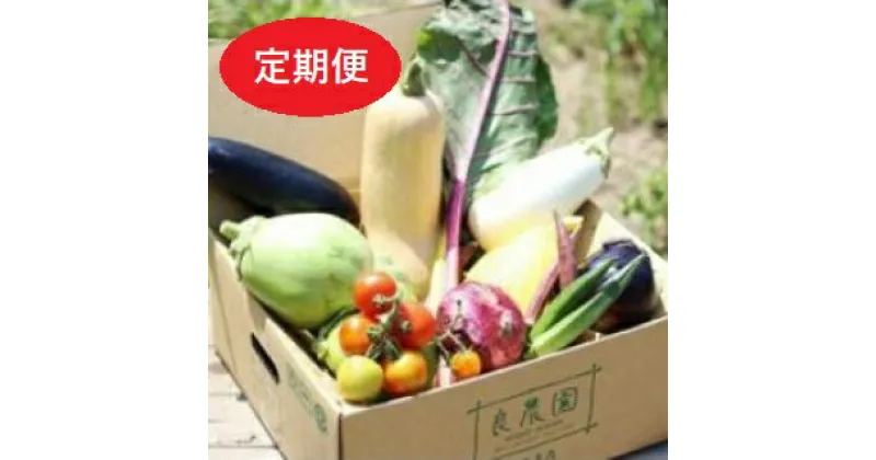 【ふるさと納税】 D-04　採れたて！良農園のおいしい野菜の定期便【年6回：偶数月配送】