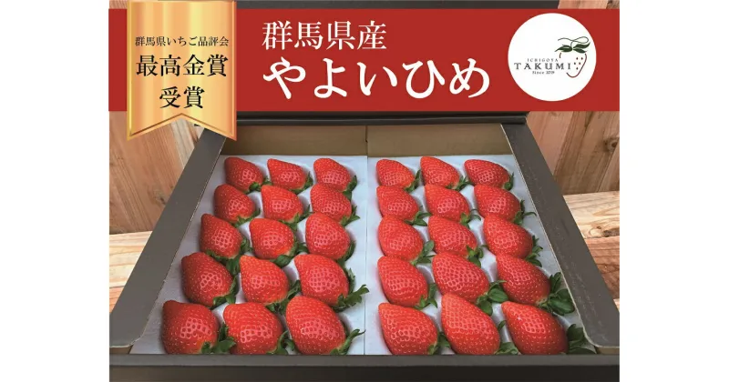 【ふるさと納税】R-28 群馬県やよいひめ（いちご）約800g【群馬県いちご品評会最高金賞受賞！】