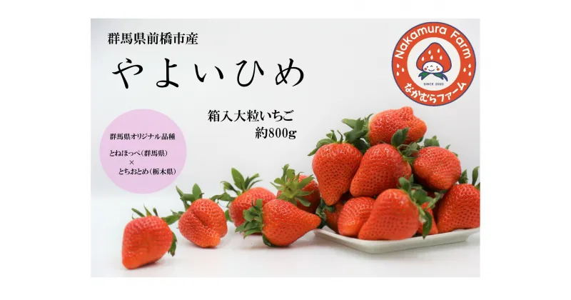 【ふるさと納税】A-153　群馬県前橋市産いちご　『やよいひめ』　約800g【2023年群馬県いちご品評会入賞！】