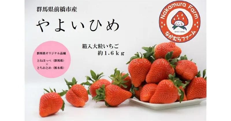 【ふるさと納税】B-73　群馬県前橋市産いちご『やよいひめ』　約1.6kg(約1600g)【2023年群馬県いちご品評会入賞！】