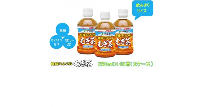 【ふるさと納税】R5-11健康ミネラルむぎ茶280ml　PET×48本（2ケース）