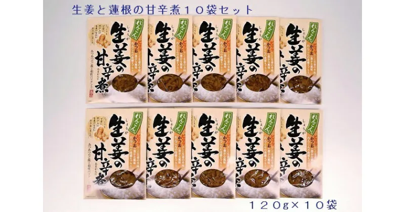 【ふるさと納税】R5-93　生姜と蓮根の甘辛煮10袋セット（120g×10袋）