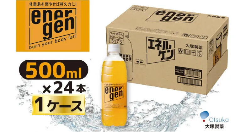 【ふるさと納税】大塚製薬　『エネルゲン』　500ml×24本