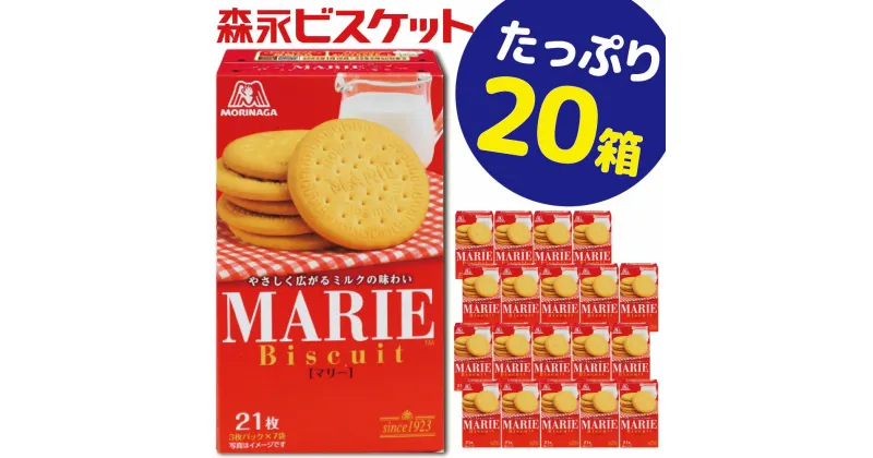 【ふるさと納税】森永ビスケット　《マリー》　20箱