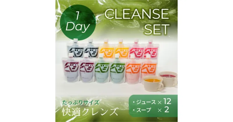 【ふるさと納税】オーガニック野菜のコールドプレスジュース 「1-dayクレンズセット（ジュース12本、スープ2食）」 無添加 無加水 オーガニック 野菜 薬膳 ジュース 果物 生搾り 健康習慣 瞬間冷凍 産地直送 220mlパウチ 1本に2日分の野菜 12本 スープ2食付 koyomi コヨミ