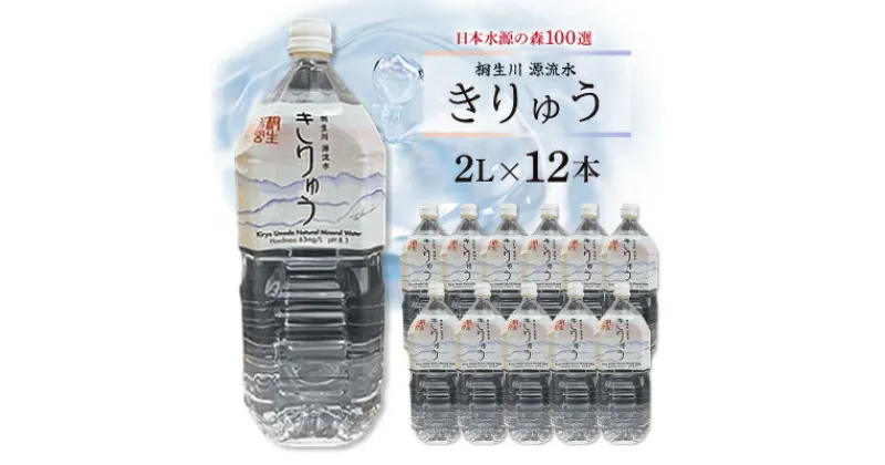 【ふるさと納税】桐生川源流水「きりゅう」2L×12本【1119545】