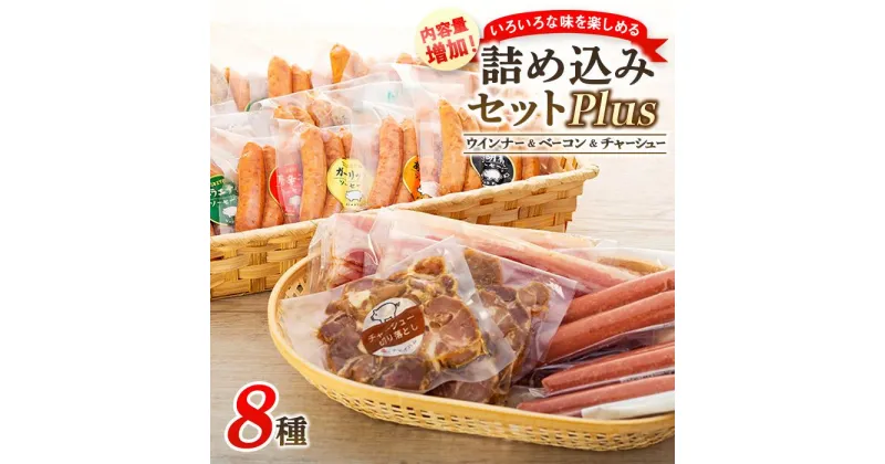 【ふるさと納税】詰め込みセットPlus | 肉 にく お肉 食べ比べ お楽しみ 増量 セット 小分け 大容量 大人気 ランキング ボリューム 個包装 お歳暮 お年賀 アウトドア キャンプ 冷凍 伊勢崎市 群馬県