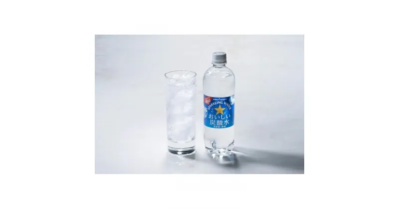 【ふるさと納税】おいしい炭酸水 （600ml ×24本）