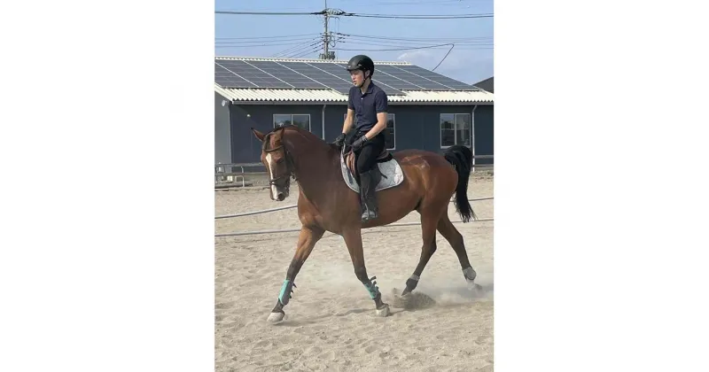 【ふるさと納税】【乗馬クラブアトラス】 初めての乗馬体験（初級コース）