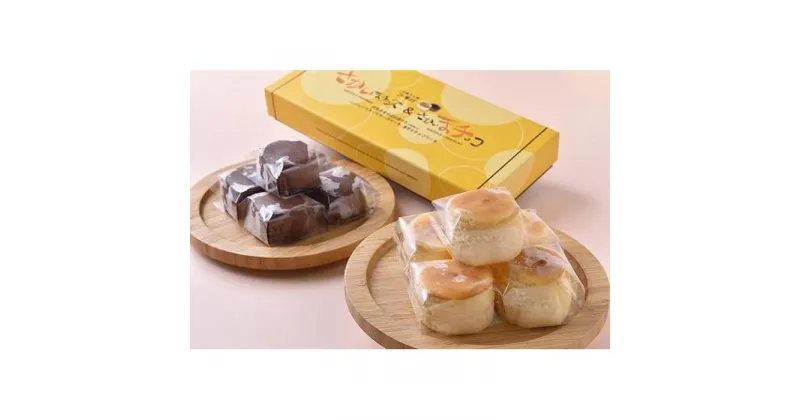 【ふるさと納税】生乳のミルキーな風味！一口チーズ＆チョコケーキ10個 | 菓子 おかし スイーツ デザート 食品 人気 おすすめ 送料無料