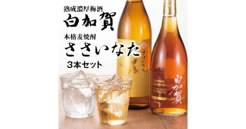 【ふるさと納税】熟成濃厚梅酒白加賀・本格麦焼酎ささいなた3本セット【1267975】