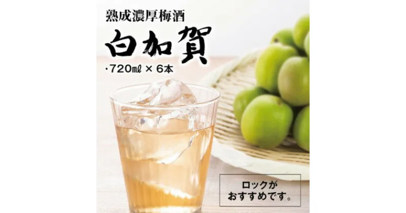 【ふるさと納税】熟成濃厚梅酒白加賀(720ml×6本)【1292010】