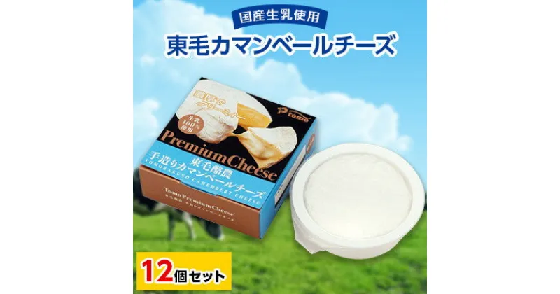 【ふるさと納税】群馬県太田市　東毛カマンベールチーズ12個セット【配送不可地域：離島】【1296686】