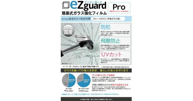 【ふるさと納税】イージーガード(ezguard)Pro【10枚入】【1421906】