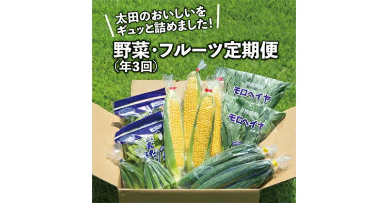 【ふるさと納税】【発送月固定定期便】太田のおいしいをギュッと詰めました!新鮮野菜定期便 全3回【配送不可地域：離島・北海道・沖縄県・中国・四国・九州】【4004670】