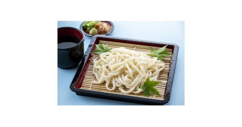 【ふるさと納税】上州群馬　太麺・強ゴシ　生んまいうどん!【配送不可地域：離島】【1448249】