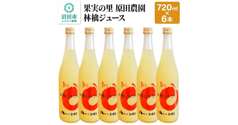 【ふるさと納税】果実の里 原田農園 林檎ジュース 720ml×6本 りんごジュース ストレート100%果汁