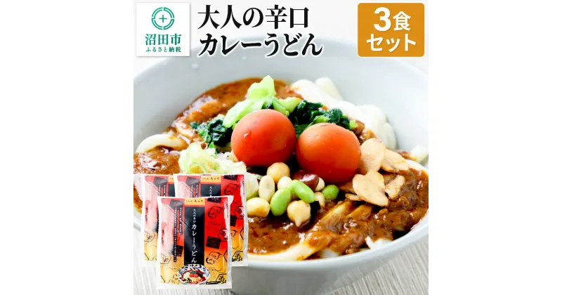 【ふるさと納税】みのや 大人の辛口カレーうどん 3食セット ホットパック冷凍品