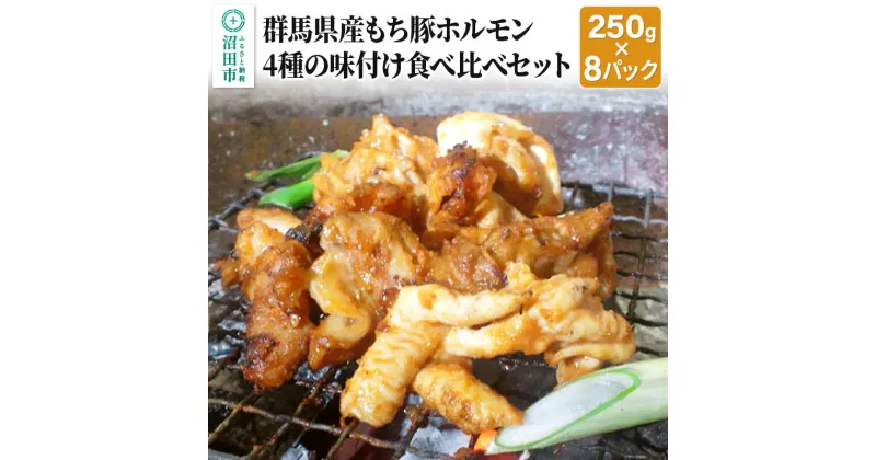 【ふるさと納税】群馬県産もち豚ホルモン2kg（250g×8パック）4種の味付け食べ比べセット 群馬県 特産品