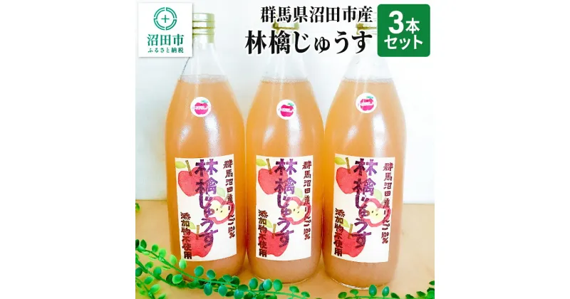 【ふるさと納税】群馬県沼田市産 林檎じゅうす1000ml（リンゴジュース）3本セット