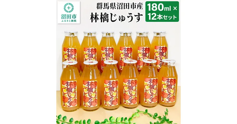 【ふるさと納税】群馬県沼田市産 林檎じゅうす180ml（リンゴジュース）12本セット