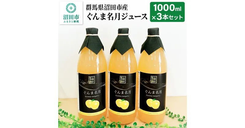 【ふるさと納税】群馬県沼田市産 ぐんま名月ジュース1000ml（リンゴジュース）3本セット