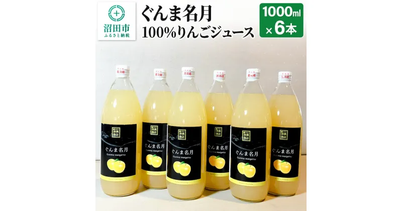 【ふるさと納税】ぐんま名月100%りんごジュース 1000ml×6本