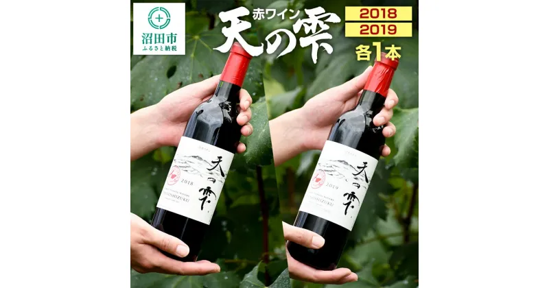 【ふるさと納税】天の雫 赤ワイン2本セット（2018・2019）各720ml