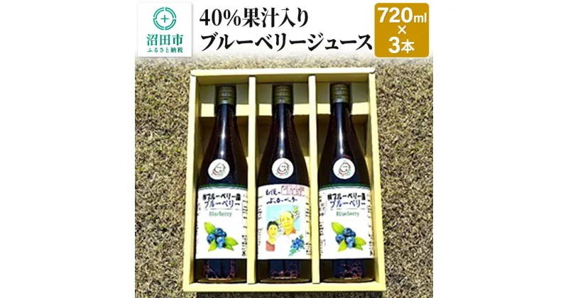 【ふるさと納税】40%果汁入りブルーベリージュース720ml（3本セット）