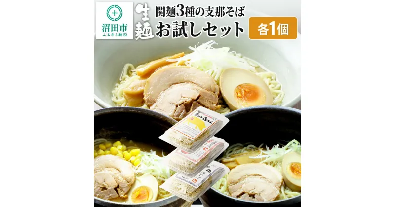 【ふるさと納税】関麺 3種の支那そば お試しセット 各1個 味噌／醤油／塩