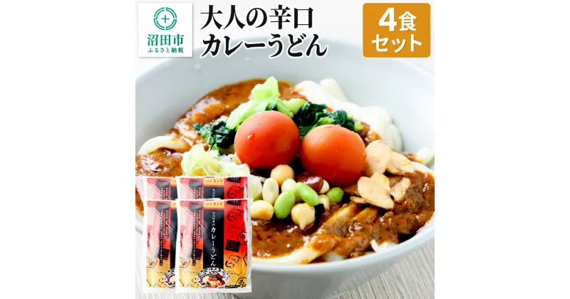 【ふるさと納税】みのや 大人の辛口カレーうどん 4食セット ホットパック冷凍品