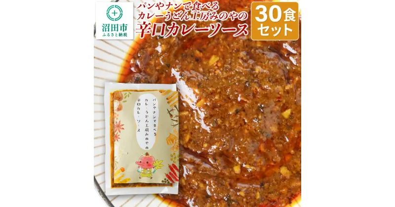 【ふるさと納税】パンやナンで食べるカレー うどん工房みのやの辛口カレーソース 30袋