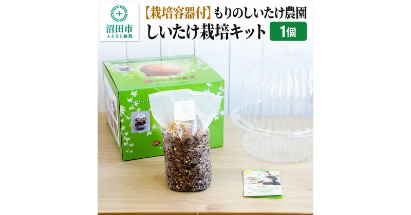 【ふるさと納税】【栽培容器付】もりのしいたけ農園「しいたけ栽培キット」1個