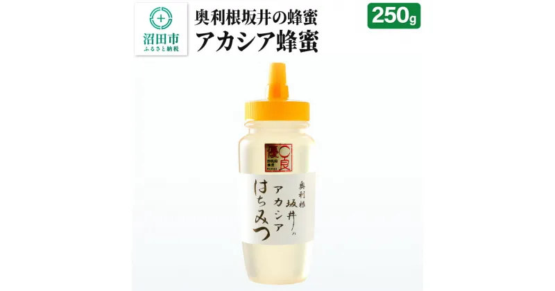 【ふるさと納税】奥利根坂井のアカシアはちみつ 250g×1本 坂井養蜂場