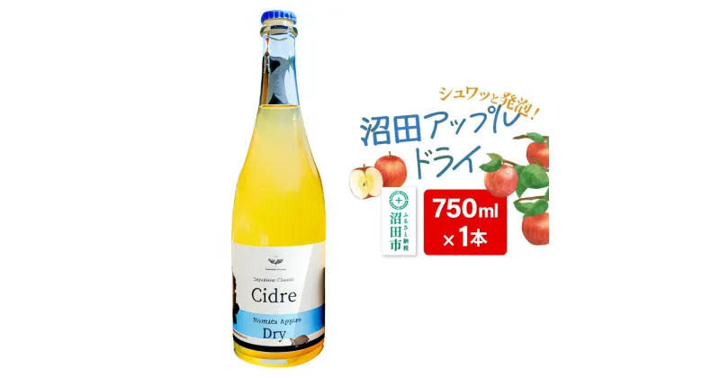 【ふるさと納税】沼田アップルドライ 750ml×1本 Fukiware Cidrerie