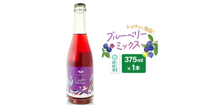 【ふるさと納税】ブルーベリー ミックス 375ml×1本 Fukiware Cidrerie