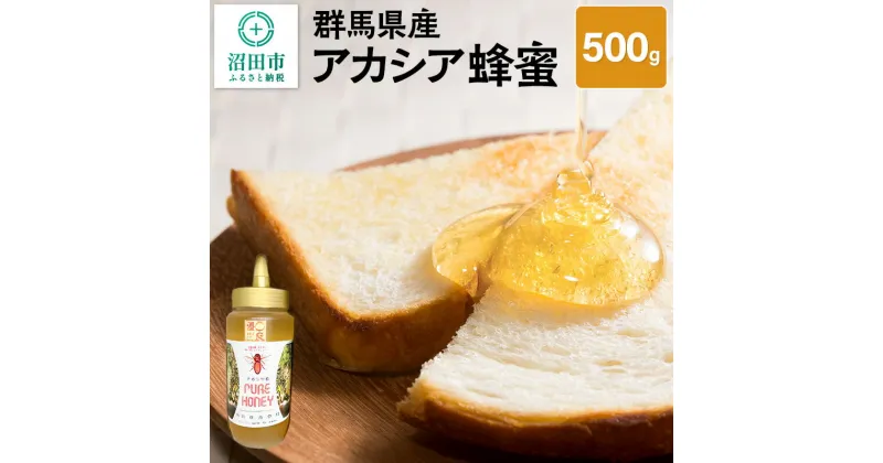 【ふるさと納税】群馬県産アカシア蜂蜜 500g