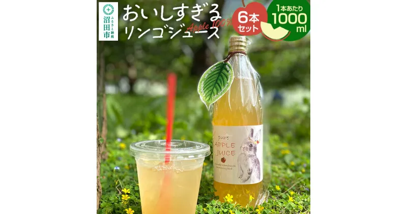 【ふるさと納税】おいしすぎるリンゴジュース 1000ml×6本 ハミングバード