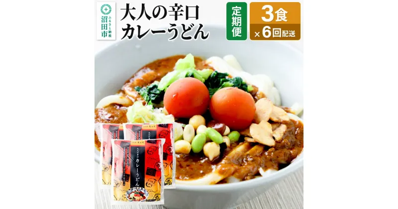 【ふるさと納税】《定期便6回》みのや 大人の辛口カレーうどん 3食セット